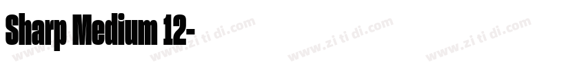 Sharp Medium 12字体转换 Sharp Medium 12字体转换